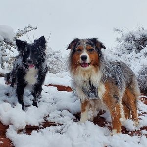 Meet your Posher, Kyle